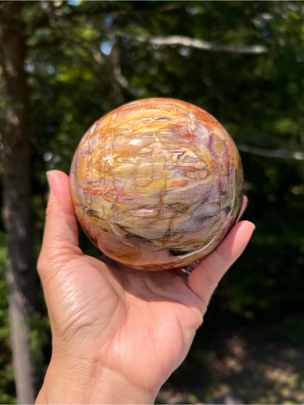 Petrified (12) wood sphere | crystal
